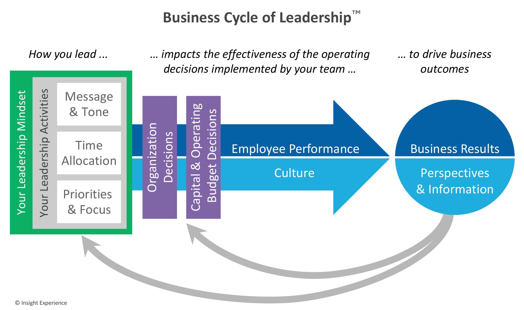 Business Cycle of Leadership in leadership simulations