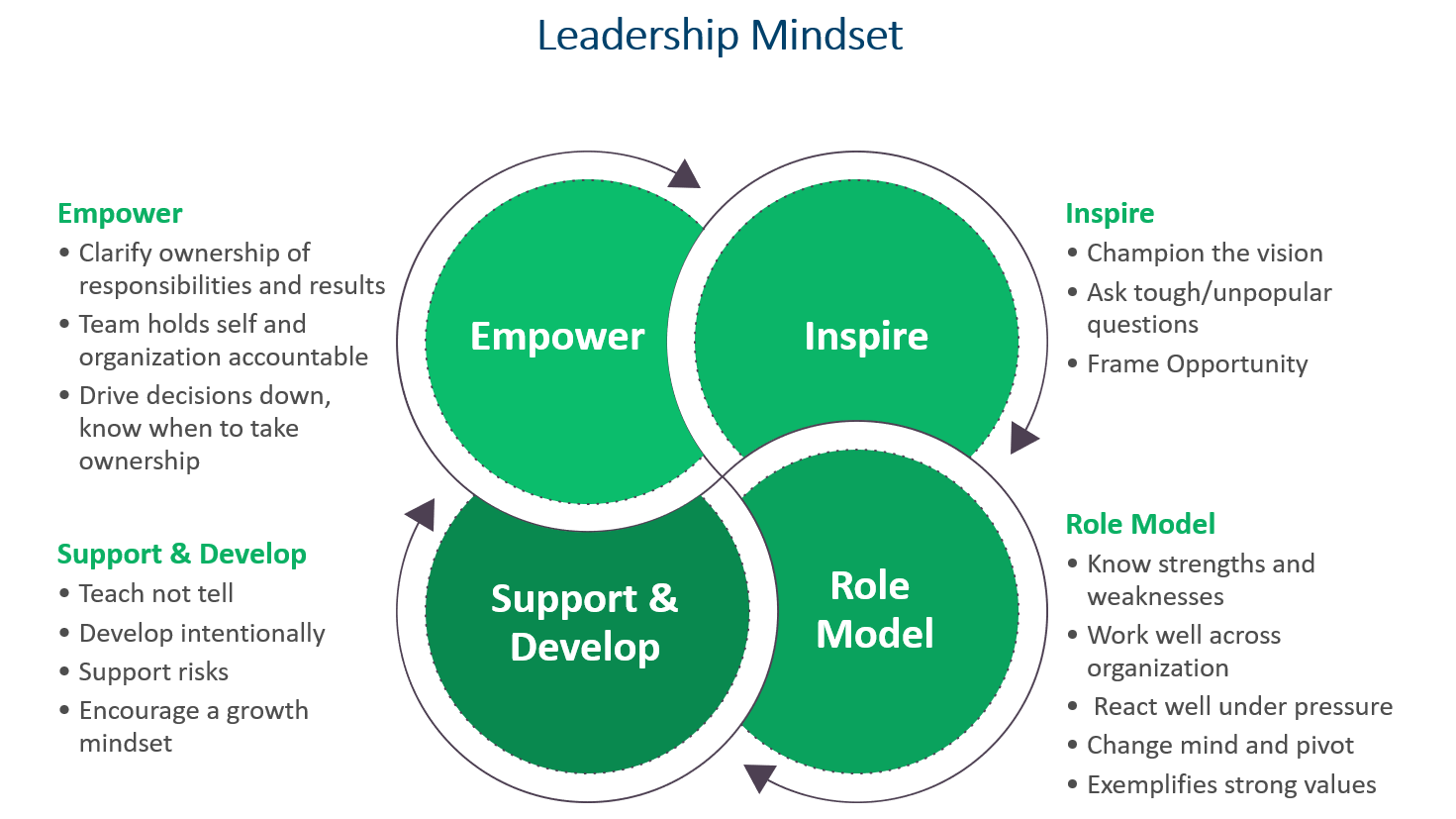 The Leadership Mindset model