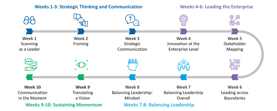 Leaders of Influence learning reinforcement